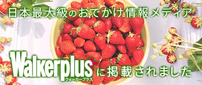 walkerplus